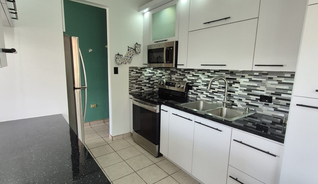 15-COCINA DESDE LA PUERTA-LIRIOS
