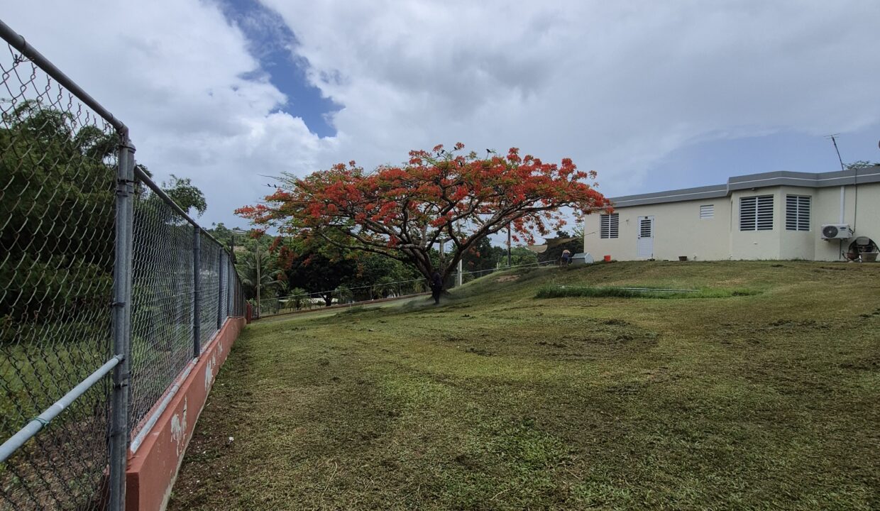 23-PATIO DERECHO -LIRIOS