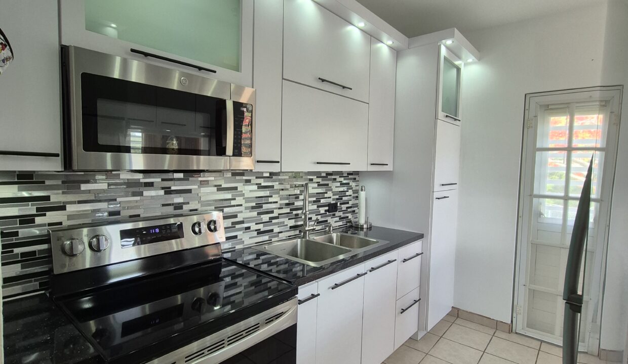 3-COCINA DESDE EL PASILLO-LIRIOS