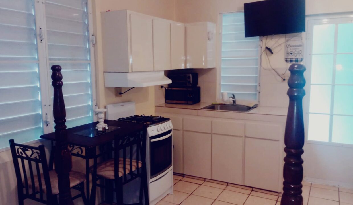 MAGUEYES - 25. Cocina Estudio #1