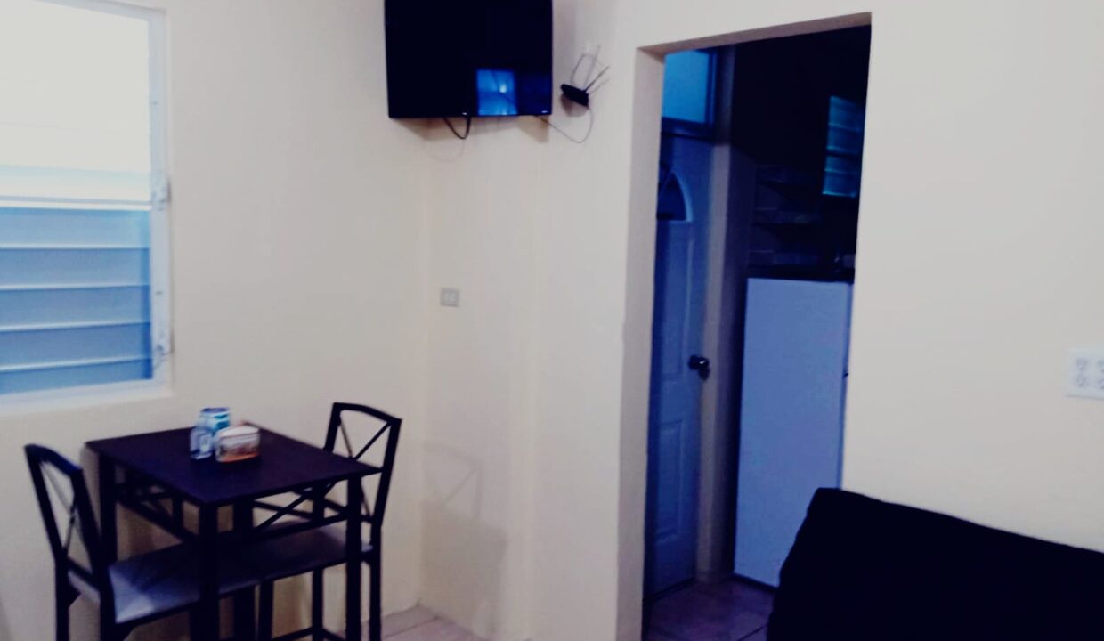 MAGUEYES - 26. Estudio #2