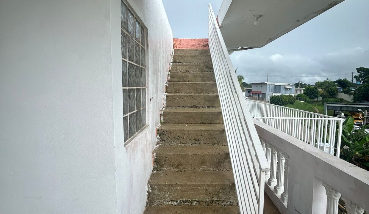 BO. PALOMAS 21-Escalera subir al techo
