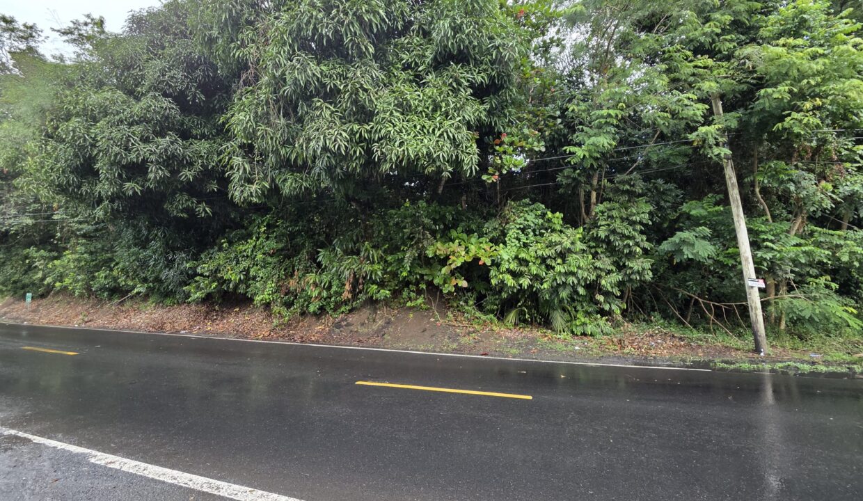 BO. CEDROS - 2 foto Lado