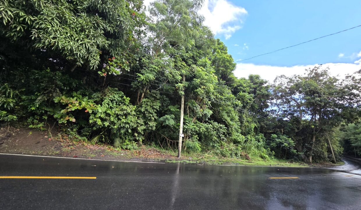 BO. CEDROS - 3 Foto Lado-frente