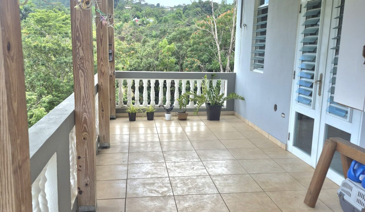 DOS BOCAS II - 8 - BALCON Y LOUNDRY