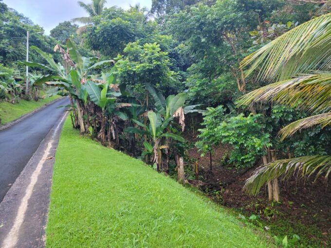 BARRIOS MINILLAS, BAYAMON, PUERTO RICO
